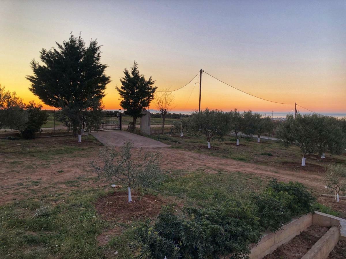 The Hillhouse Near Alexandroupolis Villa Екстериор снимка